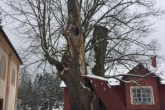 11.12.2021-Cernovice-Vlceves-Mlyny-12