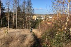 6.11.2021-Nova-Cerekev-Dubovice-Pelhrimov-6