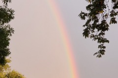 20190810_200856