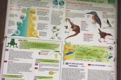 18.-7.-2020-JIndrisske-udoli-3