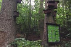 18.-7.-2020-Jindrisske-udoli-11