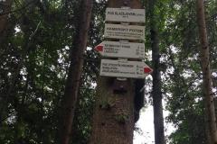 18.-7.-2020-Jindrisske-udoli-4