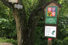 18.-7.-2020-Jindrisske-udoli